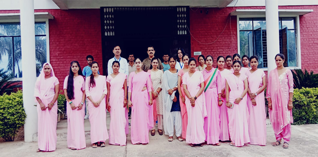 Samll wooden house in the mountains surrounded by forest and meadows